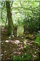 Sussex County Lunatic Asylum Burial Ground