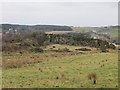 One of the Craigbank Quarries