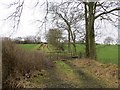 Farm track, Strathloanhead