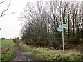 Bridleway by Well Wood