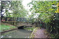 Bridge over the New River