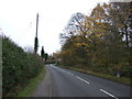 The Avenue (B1430)