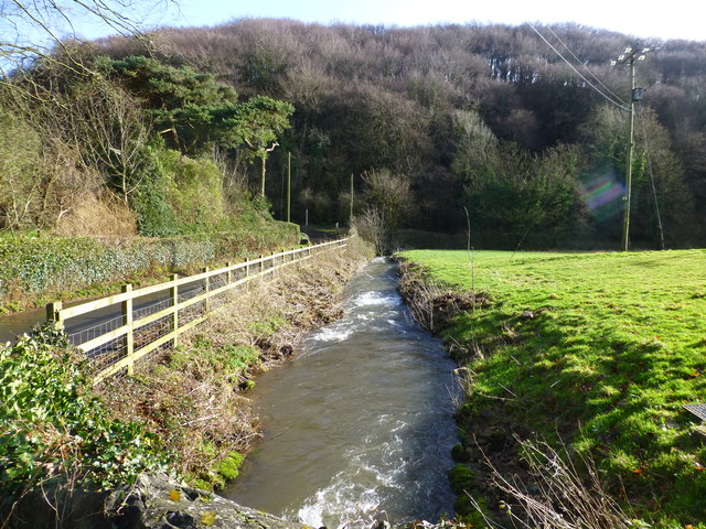 Castrogi Brook, The Cwm, near Llanfair Discoed