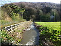 Castrogi Brook, The Cwm, near Llanfair Discoed