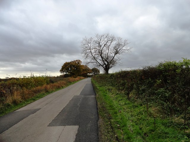 Lane south of Finchale Priory