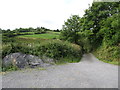 H6207 : Field access road in Ralaghan TD by Eric Jones