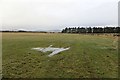 Field near Kinross