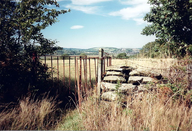 Llwybr Llandeilo Talybont Path