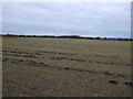SE9114 : Farmland east of Winterton Road by JThomas