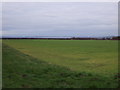 SE9115 : Farmland east of Winterton Road by JThomas
