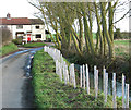 Cottages by Low Road/Mill Lane junction