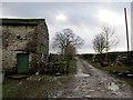 Track through the Yard at Ingman Lodge