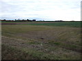 Farmland off Ermine Street Roman Road