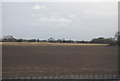 Flat farmland