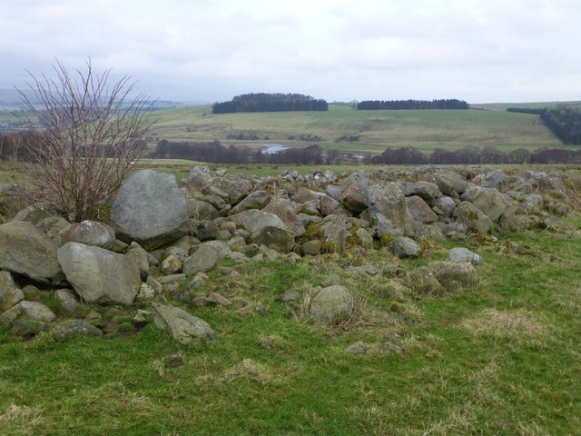 Boulders at the edge of the field