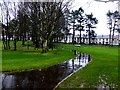 Wet reflections, The Grange, Omagh