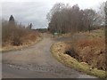 Forestry entrance near Keillour