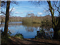 SU8756 : Frimley fishing lakes by Alan Hunt