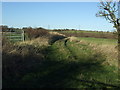 Footpath to Hutton Henry