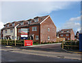 SU9558 : New build houses, Bisley by Alan Hunt