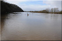 SO8425 : Flooded River Severn at Wainlode by Philip Halling