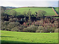 View over Nant Ceibwr, Monington