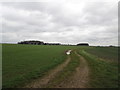 Track towards Lodge Farm