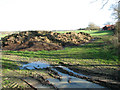 Muck heap in field by Grove Farm