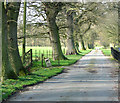 Driveway to Redisham Hall