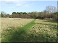 Green Grassed Footpath