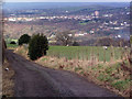 Lane from Moorside Farm