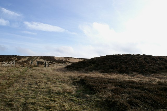 Tumulus and track Stoupe Brow moor