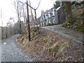 Houses above the Mawddach