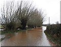 Severe flooding on the road to Fitzroy