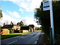 The Street in West Clandon