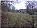 Sheep pasture below Pen-y-lan Hall near Meifod