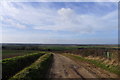 Hollinhill Lane on the way down to Hayton