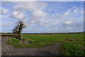 Footpath off Hangingside Lane