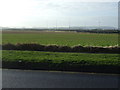 Farmland near Redcar