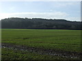 Farmland and woodland