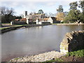 The pond, East Quantoxhead