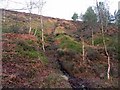 Footpath north of Rothbury