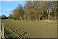 Narrow field between A346 and line of disused railway