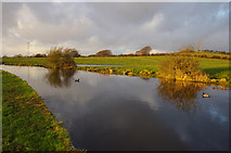 SD4763 : Lancaster Canal, near Beaumont by Ian Taylor