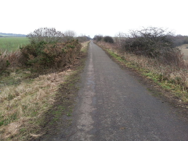 Cycle  Route 1 just north of Seaton
