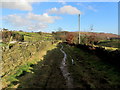 Walled Track leading to Eldwick Beck