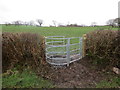 G?t fochyn Llanedi kissing gate