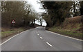 TF9628 : A1067 road narrows ahead by J.Hannan-Briggs