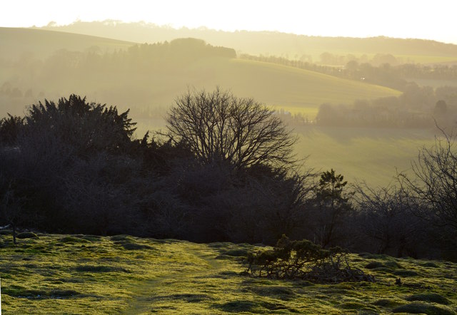 Mossy path on Watlington Hill, Oxfordshire