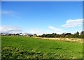 Fields south of St Helen Auckland